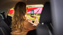 Woman takes picture of the tulip field from the car