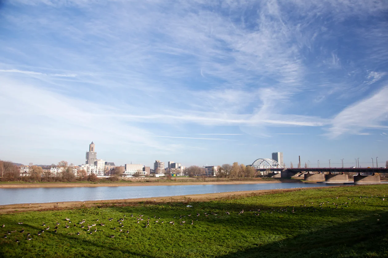 Arnhem Avis