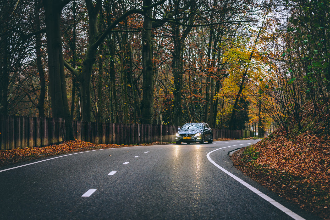 VolvoV60 rijd door het bos
