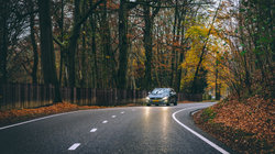 VolvoV60 rijd door het bos