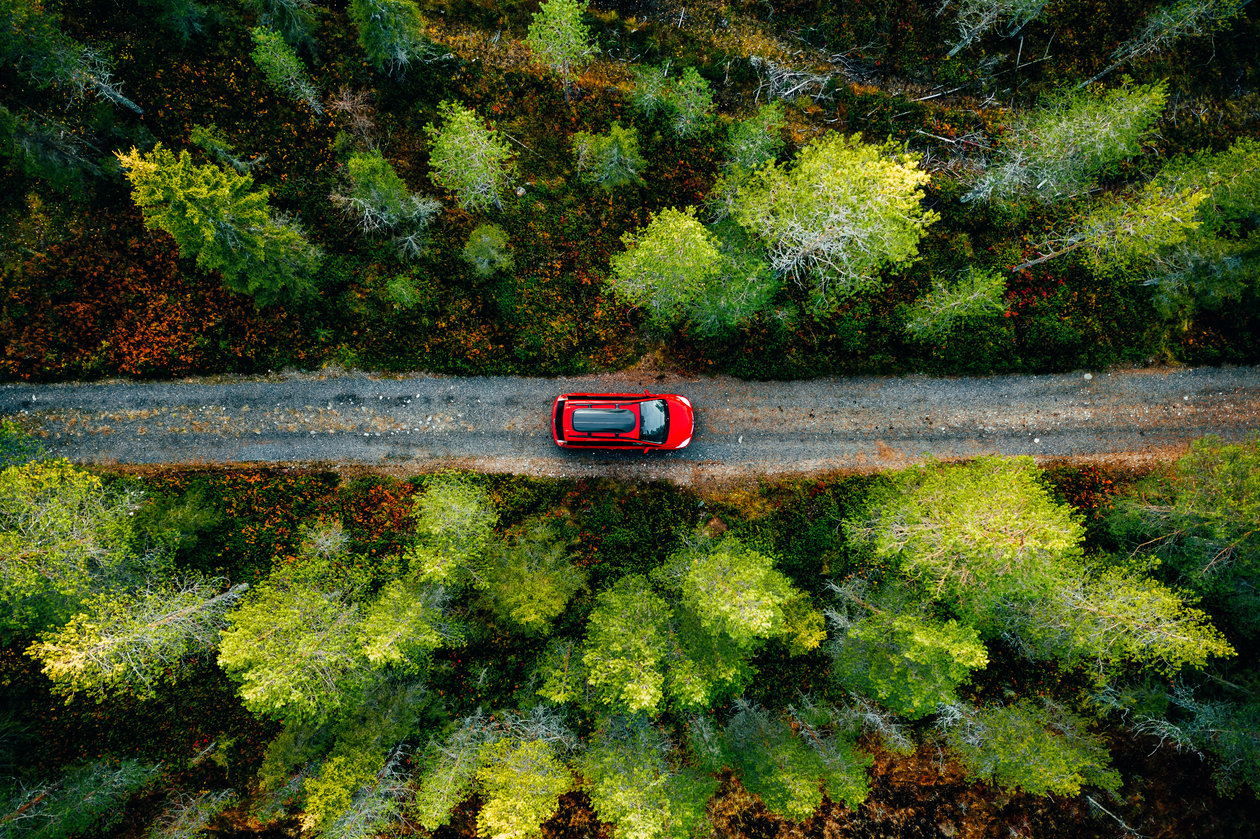 Auto rijdt door het bos