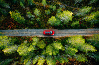 Auto rijdt door het bos
