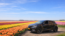 Auto bij Tulpenveld