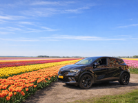 Auto bij Tulpenveld